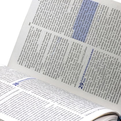 image_83f994bf-f218-412c-b7de-b82606685f5e