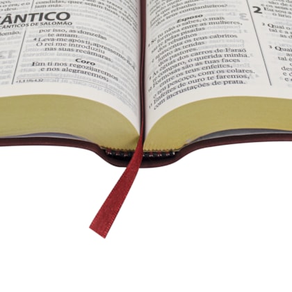 image_024cbe98-74de-434e-9f36-5655241792fb