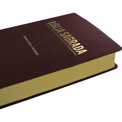 image_26fa5c3d-7e61-4088-b454-7e751b917406