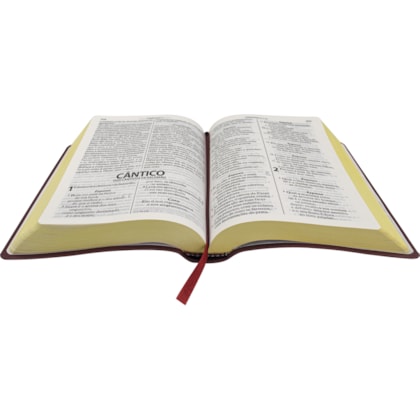 image_ff2f4c6b-a3c6-49c3-b640-bb0a25a095c1