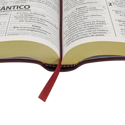 image_4e91f3c7-236d-4429-865f-17eb3ab40f1b