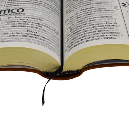 image_1006c22c-4a04-40c6-9cfa-64e0b212872d