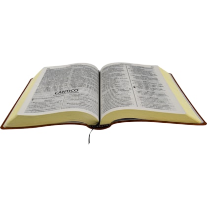 image_9a1131b5-5c22-410d-baa8-20b218d0fea5