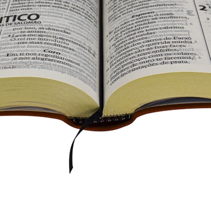 image_1b7640f0-227c-4bec-b422-52b9252de25d