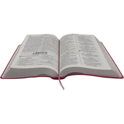 image_dff17866-e5aa-425a-913a-ef4e4953c424