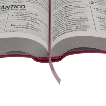 image_e55059c2-b36f-4154-8e32-3caffab764c3