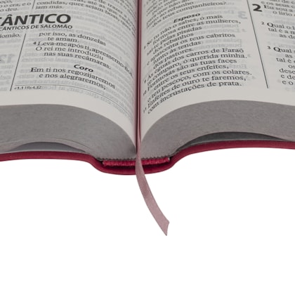 image_59a44d75-0735-4878-8454-3c76685b925f