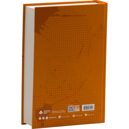 image_2cc51600-ce71-4b17-9868-9ebd19a04813