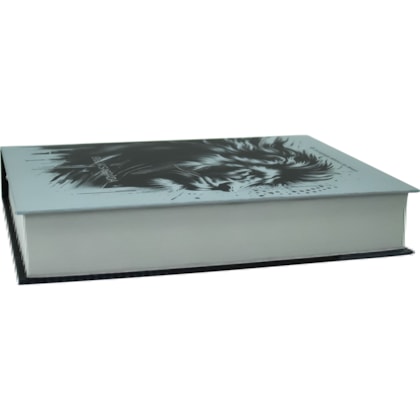 image_4be6b526-eca5-483f-8f9f-4b2cf9bc5993