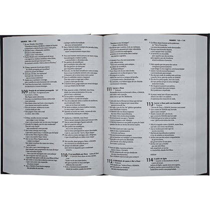 image_0384e8ed-13cd-4420-b6a1-f31e64b69eec