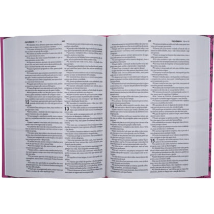 image_5368f053-68e4-47aa-a523-e514884cb2c3