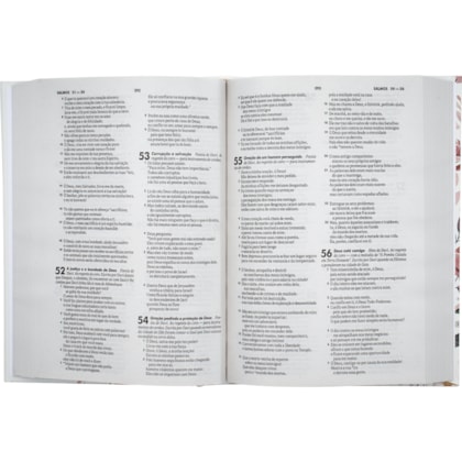 image_50792120-b753-4366-ba39-b001c98abba0