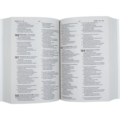 image_f82b613d-629c-4a7d-b890-e502011778c7