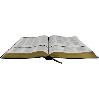 image_29dd1f5c-4e3a-404e-8bd2-287689de408b