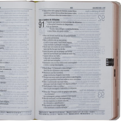 image_84a24edf-8e10-4b2c-8f9f-fc5265c6e055