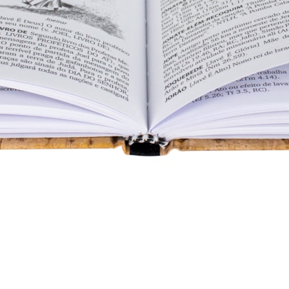 image_42b50d2d-244f-41f2-8592-90e640934451