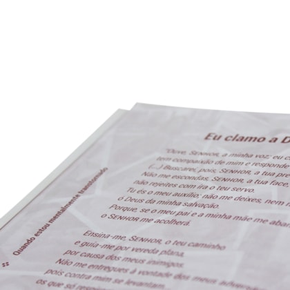 image_242719e8-a2c0-42e5-837f-74434afc2a24