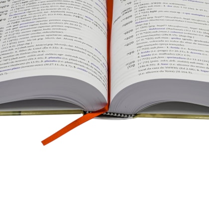 image_2ed3d3bb-523d-46b9-8379-7da35f82fe0c