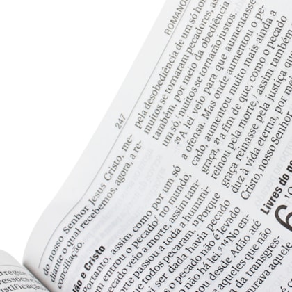 image_ba829a1c-a411-4161-b0f7-55711569d9e1