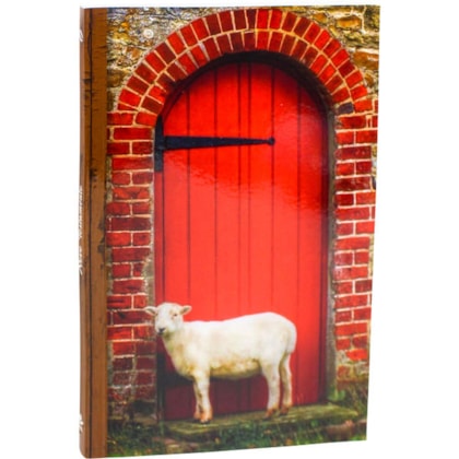 image_71a75e53-7ea9-4eef-8caa-b81587a1a97a