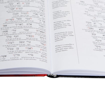 image_ac838702-5300-45fd-915c-4b6b0b3028b7