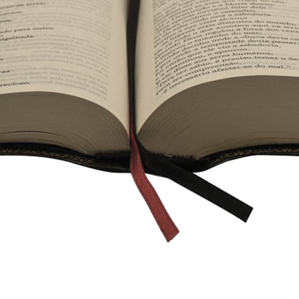 image_50f22f79-2472-4bfc-815f-c829c32b6a1c