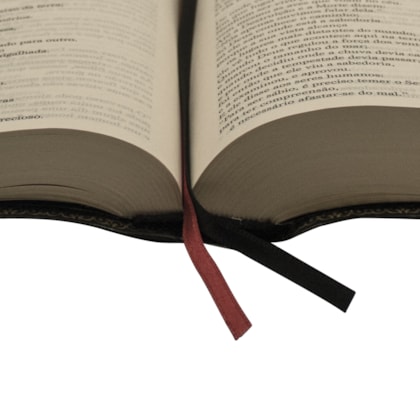 image_370dc269-efc0-43a4-b678-ce328e7e9bfe