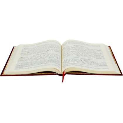 image_7f2b08a6-d284-4280-acc8-6891bb880352