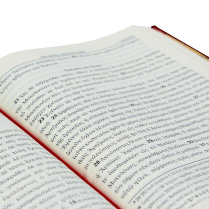 image_09d6f273-e811-46fb-bb7f-a8bae27e983f