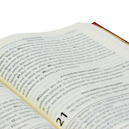 image_84728f3d-c5a2-474c-b834-e12f9d1656ee