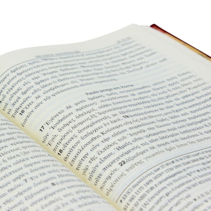 image_02632afc-ce4f-48ac-9002-e357d879eea8