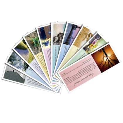 image_15383ca6-d384-48e5-9ffe-9889c5cd48cb